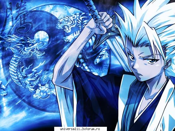 Poze Bleach - Hitsugaya Toushiro - Wallpapers